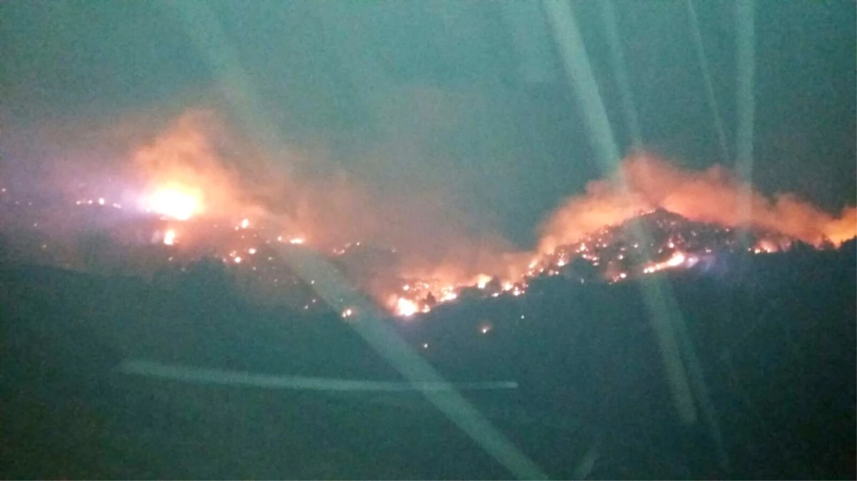 Erzurum\'da Ormanda Çıkan Yangın Güçlükle Kontrol Altına Alındı