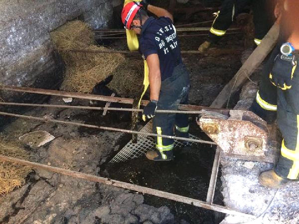 Foseptik Kuyusuna Düşen Eşeği İtfaiye Kurtardı