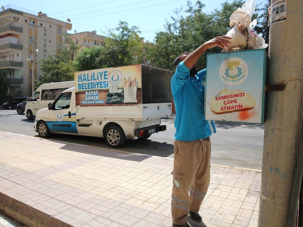 Şanlıurfa\'da Bayat Ekmekler Doğal Yaşama Kazandırılıyor