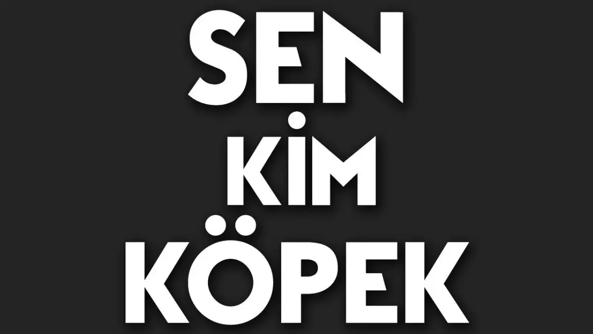 Sen Kim Köpek Bak Bak! İzlediğinizde Utanacağınız Garip Videolar