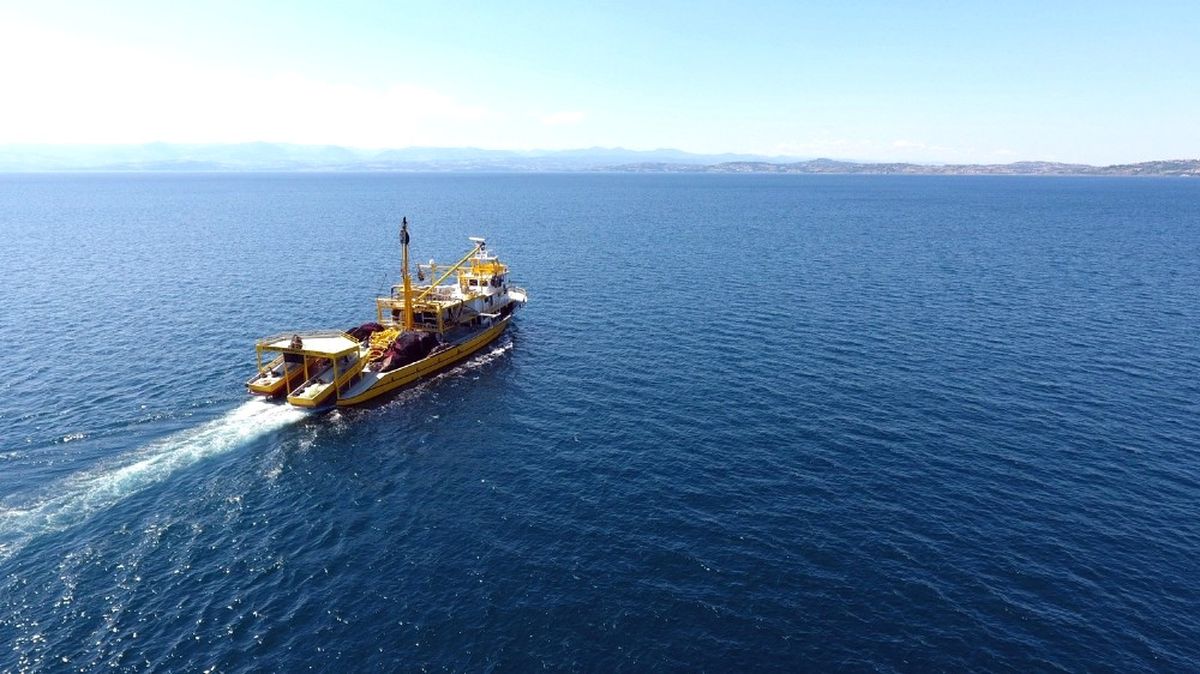 Sinop\'ta Balık Değil Sinek Avı