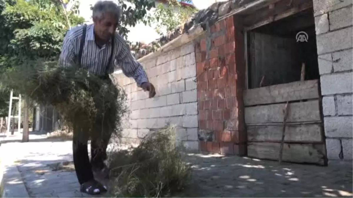 Tavşan Yetiştirme Hobisi Ekmek Kapısı Oldu