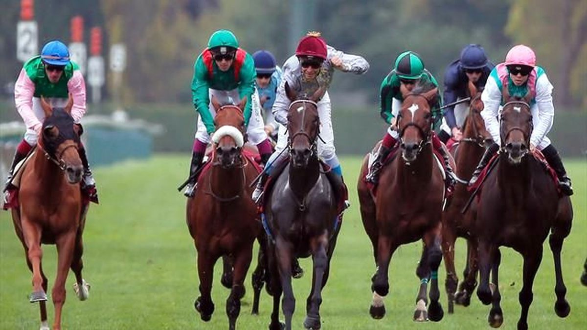 Treve\'in Hayalleri Longchamp\'da Suya Düştü