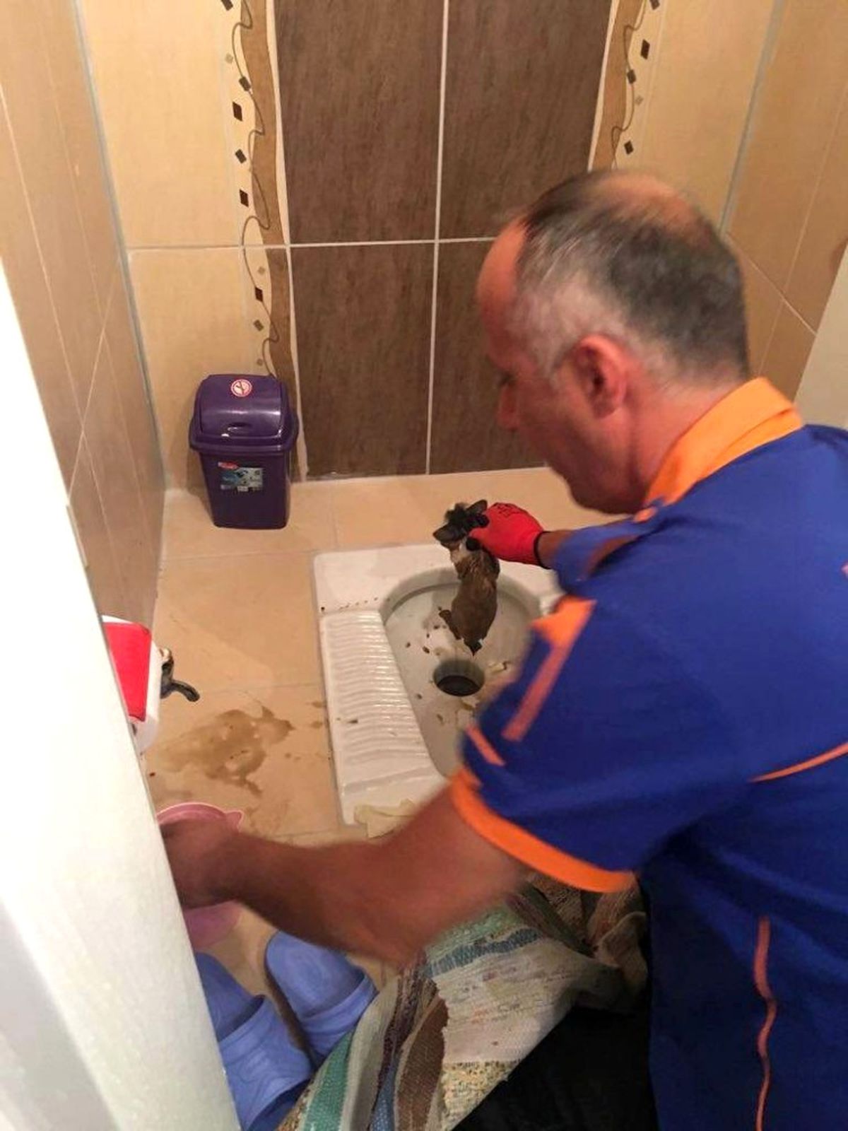 Tuvalet Deliğine Düşen Kedi Kurtarıldı