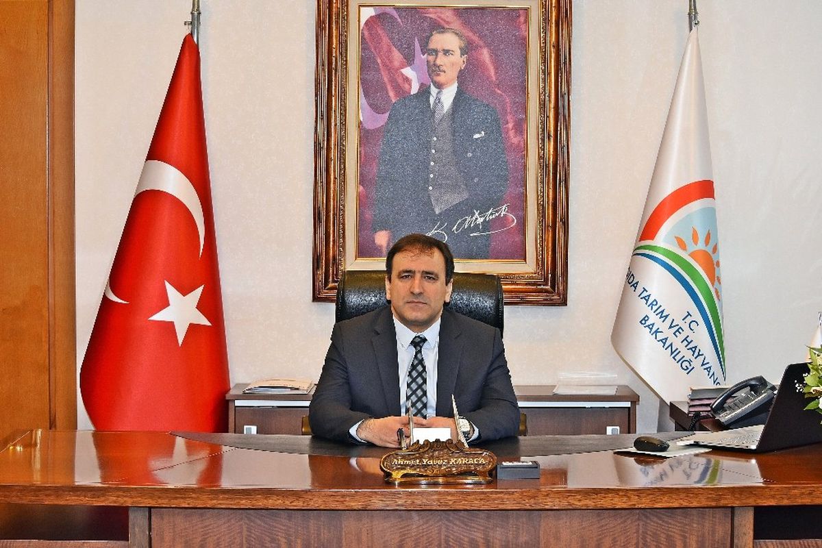 Veliefendi\'ye Kadın Seyis Yetiştirilecek