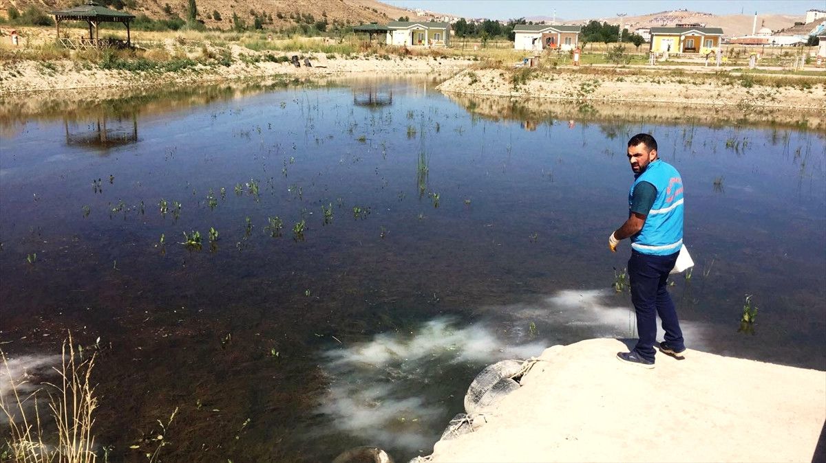Bayburt\'ta Larvayla Mücadelesi
