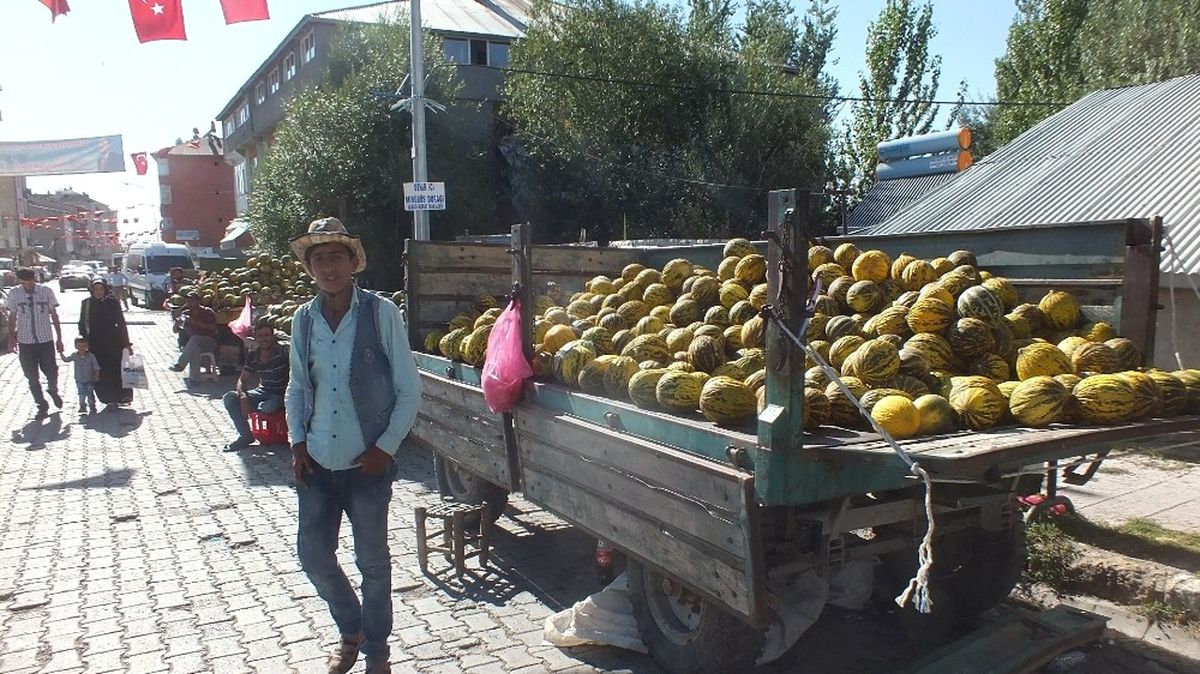 Bulanık Kavunu Görücüye Çıktı