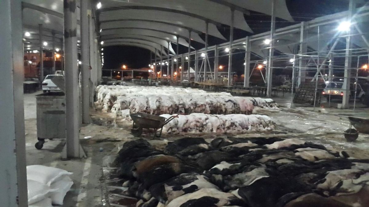 Didim Thk, Deri Toplama İşlemini Sorunsuz Gerçekleştirdi