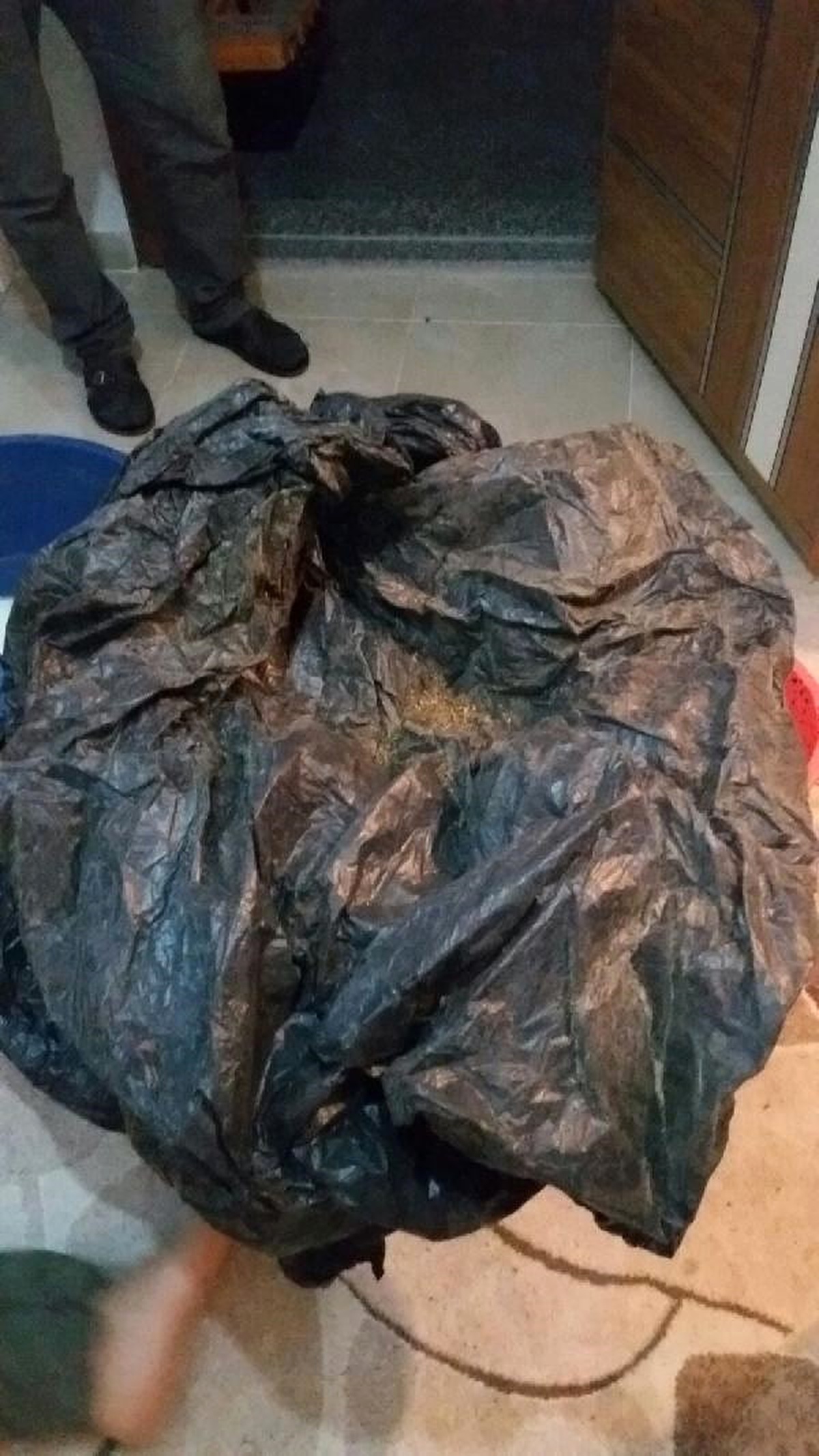 Ek Fotoğraflarla // Polis Bonzaiyi Klozetten Çıkardı