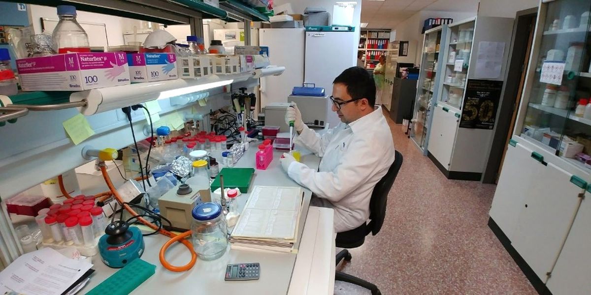 Genç Türk Bilim Adamından Büyük Başarı
