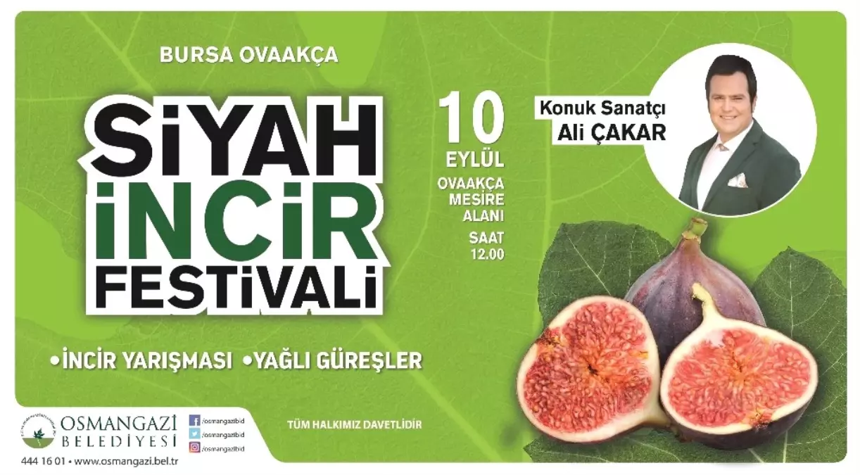 Osmangazi\'de Siyah İncir Festivali