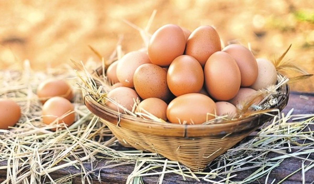 Fipronil İddiaları İhracatımızı Olumsuz Etkilemeyecek"