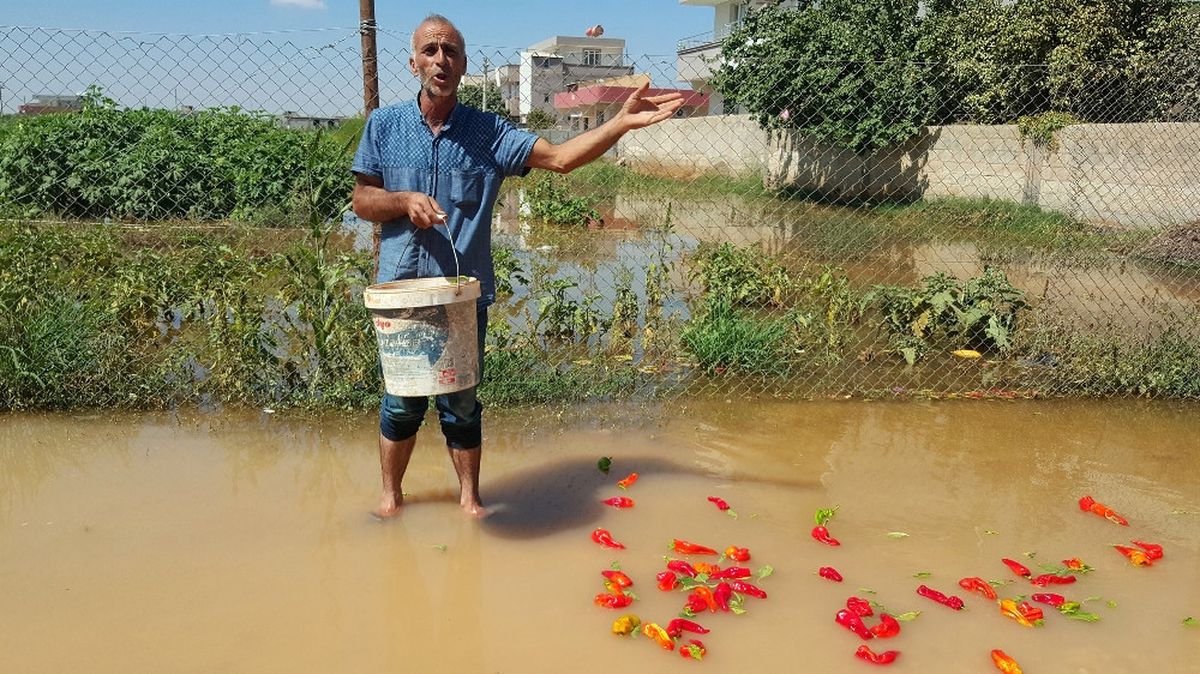 Suruç\'ta Ev ve İş Yerlerini Su Bastı
