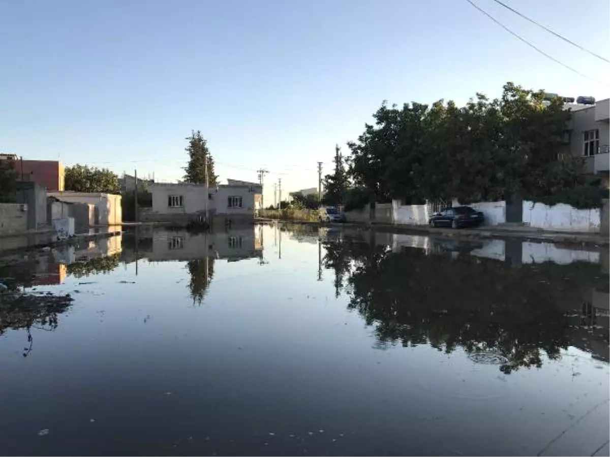 Taban Suyu Yükseldi, Suruç Venedik\'e Döndü