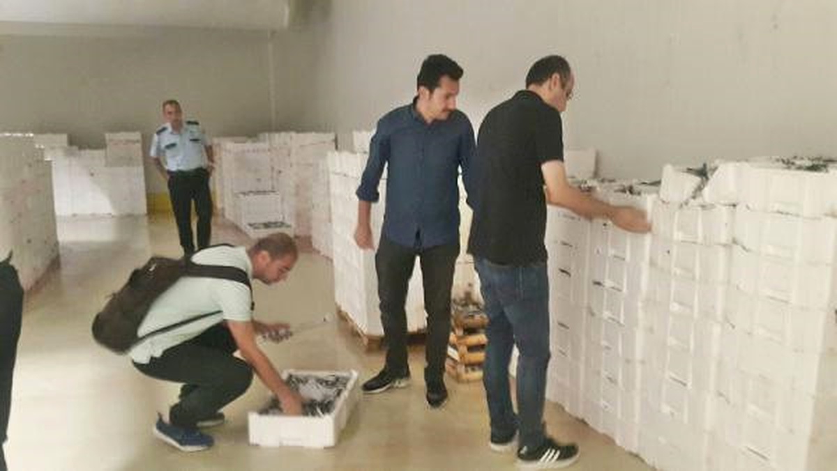 Yasal Boy Sınırı Altında Avlanan 10 Ton İstavrit ile 390 Kilo Tekire El Konuldu