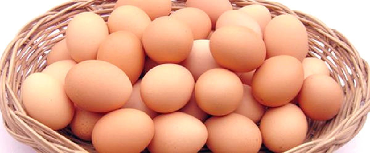 Yeniden) Tgdf Başkanı Şemsi Kopuz\'dan \'Zehirli Yumurta\' Açıklaması