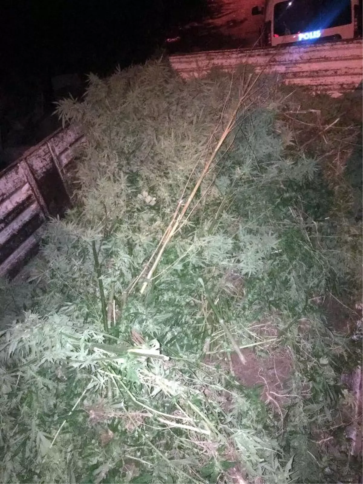 Bağ Evi Cinayetinin Sanığıydı, Uyuşturucudan Tutuklandı