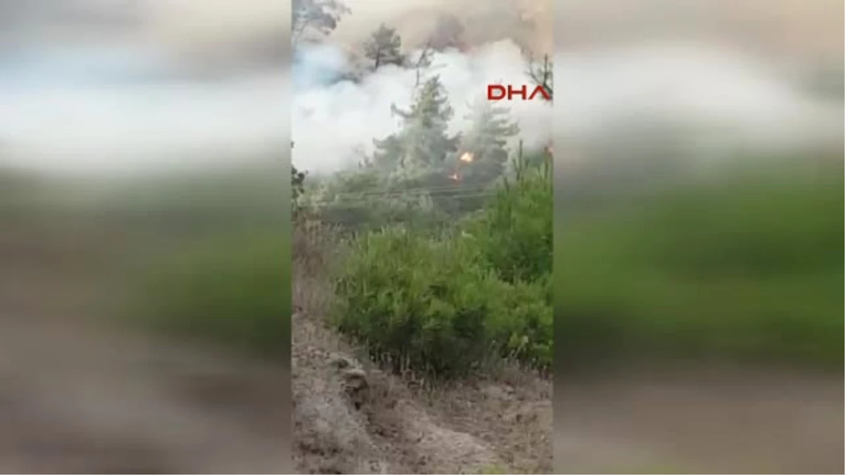 Manisa\'da Orman Yangını