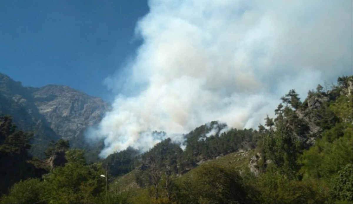 Osmaniye\'de Orman Yangını