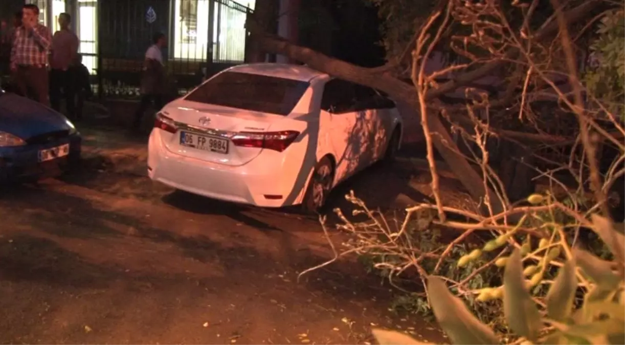 Seyir Halindeki Otomobilin Üzerine Ağaç Devrildi
