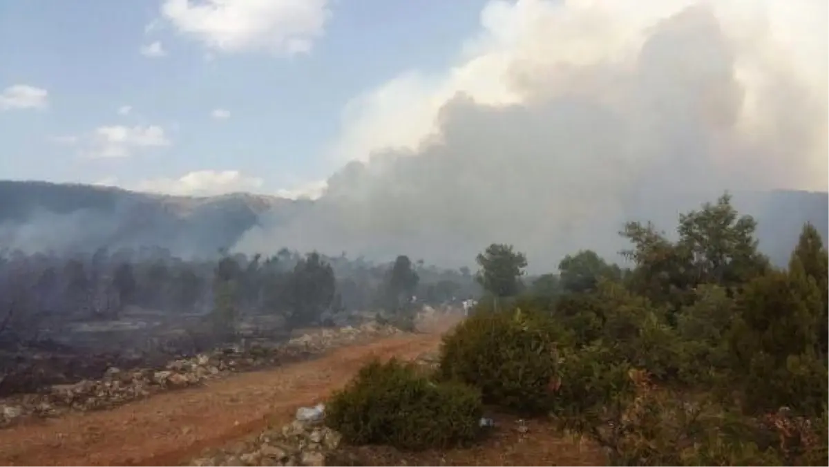 Dha Yurt Bülteni-13