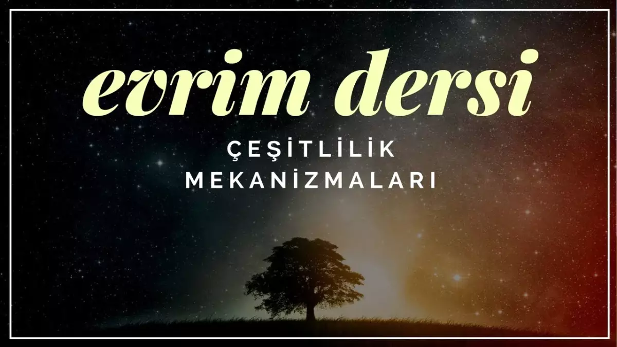 Evrim Dersi 6: Çeşitlilik Mekanizmaları