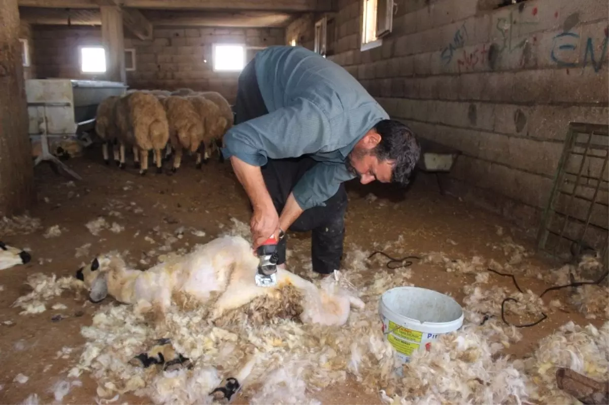 Kırkma Makasları Teknolojiye Yenik Düştü