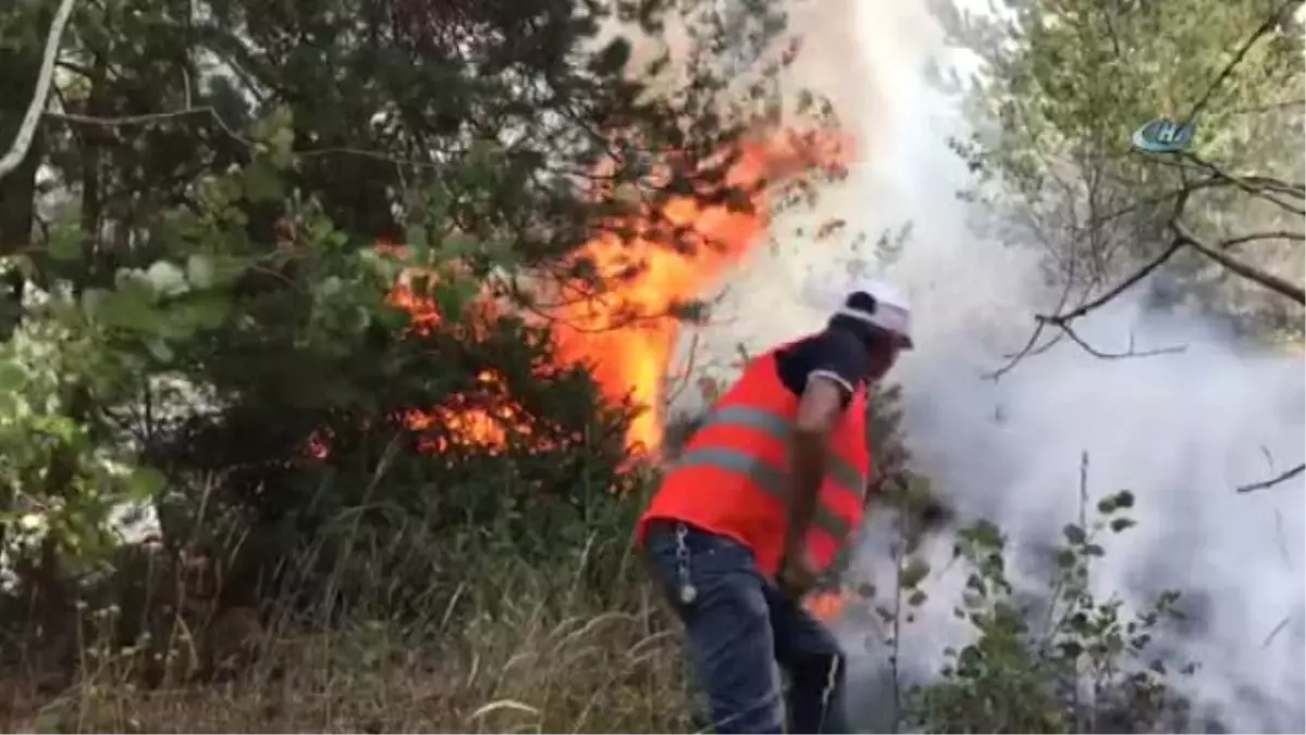 Sarıkamış Ormanları Alev Alev Yanıyor