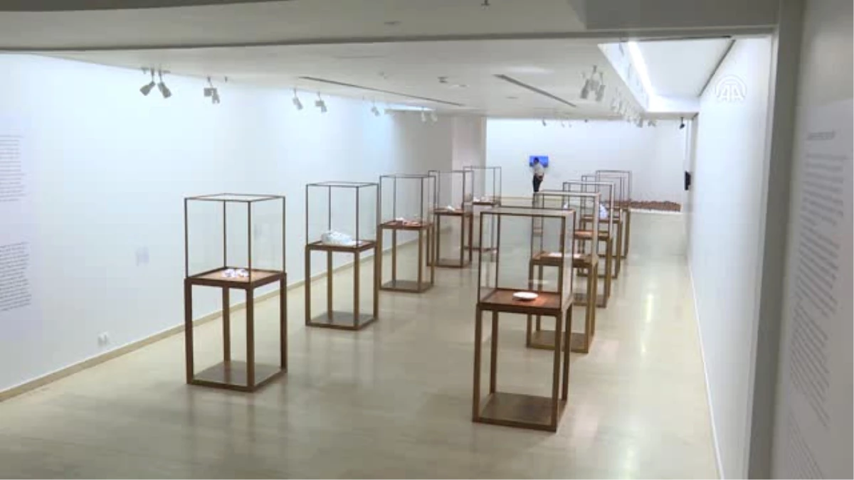 Ai Weiwei Porselene Dair" Sergisi Yarın Ziyarete Açılıyor
