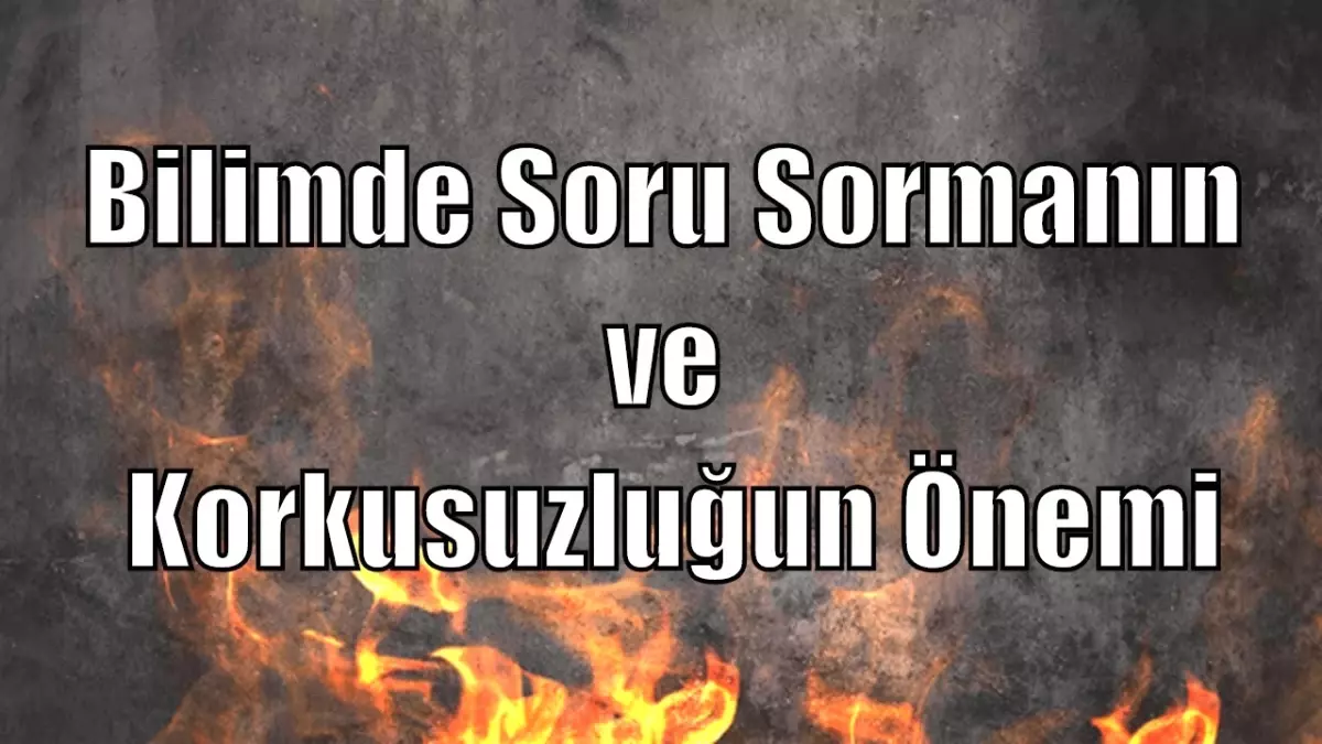 Canan Dağdeviren: Bilimde Soru Sormanın ve Korkusuzluğun Önemi