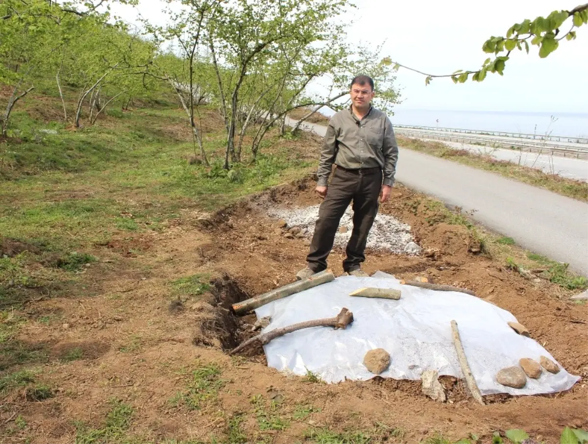 Ferrero Değerli Tarım Zirai İşler Müdürü Arıkoğlu: "Yüz Binlerce Ton Fındık Zurufu Heba Olmasın"