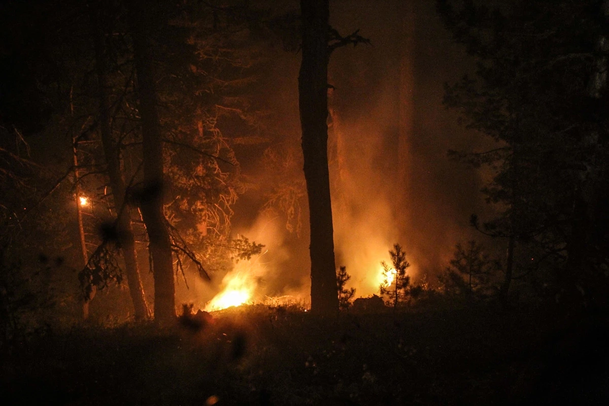 Güncelleme - Kütahya\'daki Orman Yangını