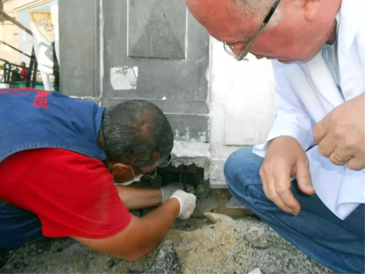 İstiklal Caddesi\'ndeki Fareler İçin İlaçlı Önlem