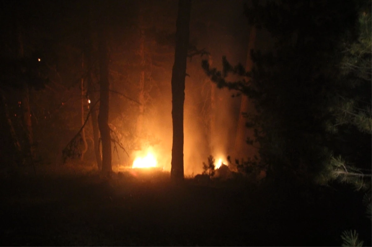 Kütahya\'daki Orman Yangını Kontrol Altına Alındı
