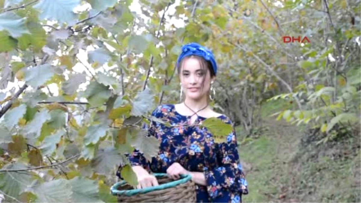 Ordu Pop Müzik Şarkıcısı Elif Kaya Ailesinin Bahçesinde Fındık Topladı