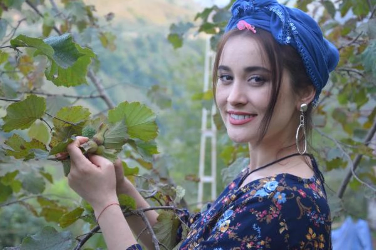 Şarkıcı Elif Kaya, Ailesinin Bahçesinde Fındık Topladı