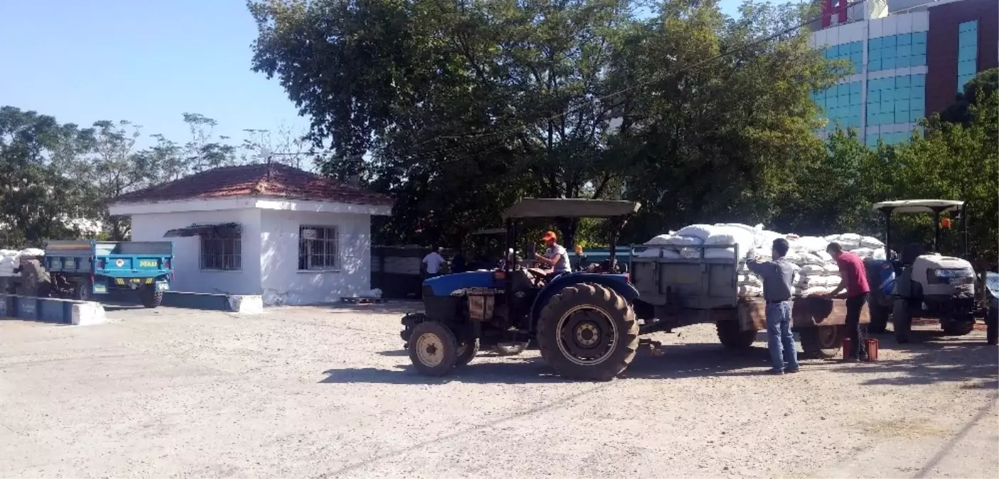 Tariş Üzüm Alımlarına Başladı