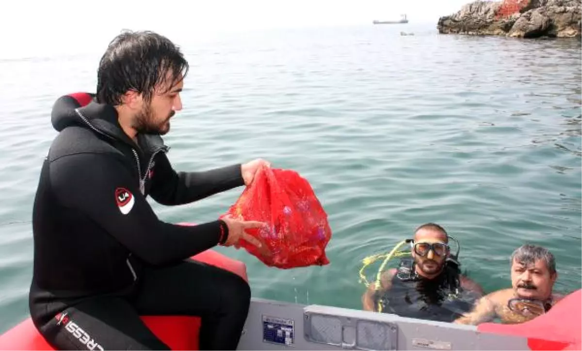 Zonguldak\'ta Mavi Bayraklı Plajda Temizlik