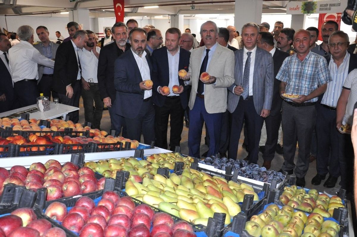 Anıl: "Tarımda Reformlara İhtiyacımız Var"