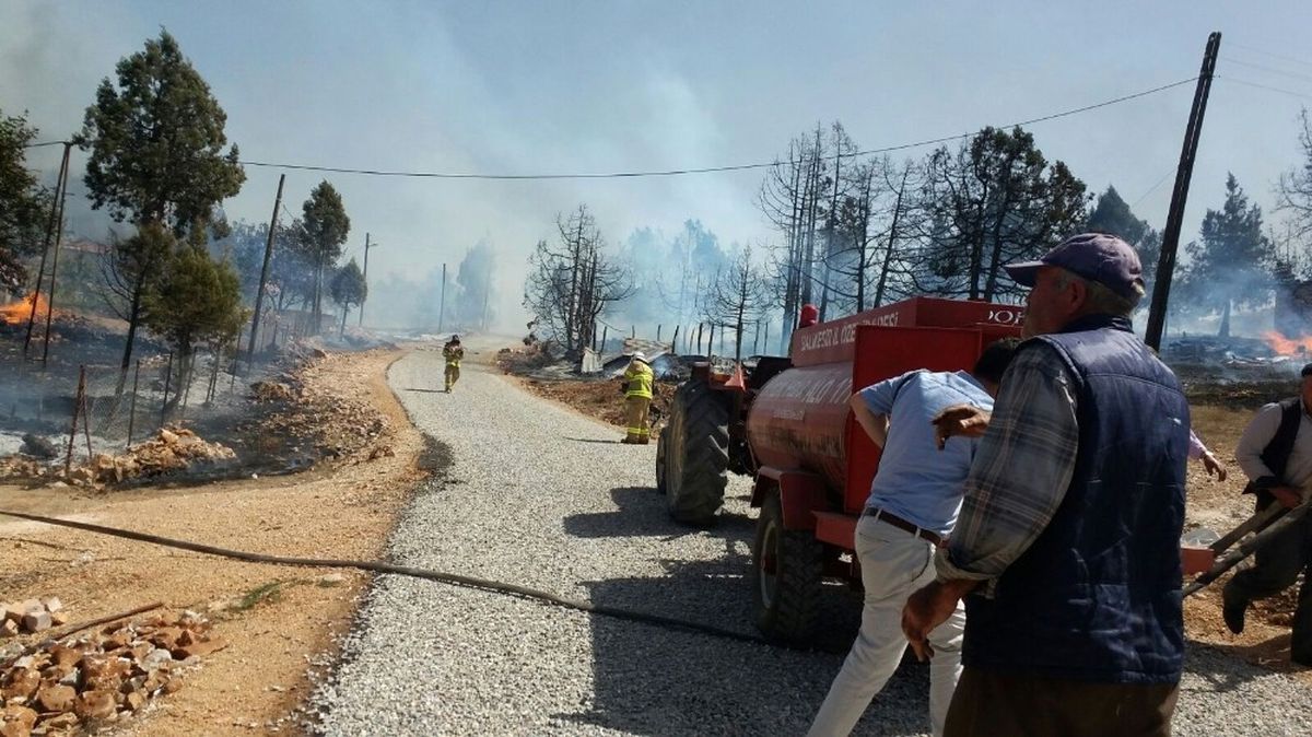 Balıkesir\'de Orman Yangını Sürüyor