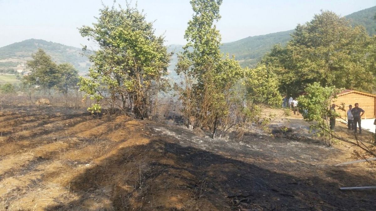 Bursa\'da 3 Hektarlık Ormanlık Alan Yandı