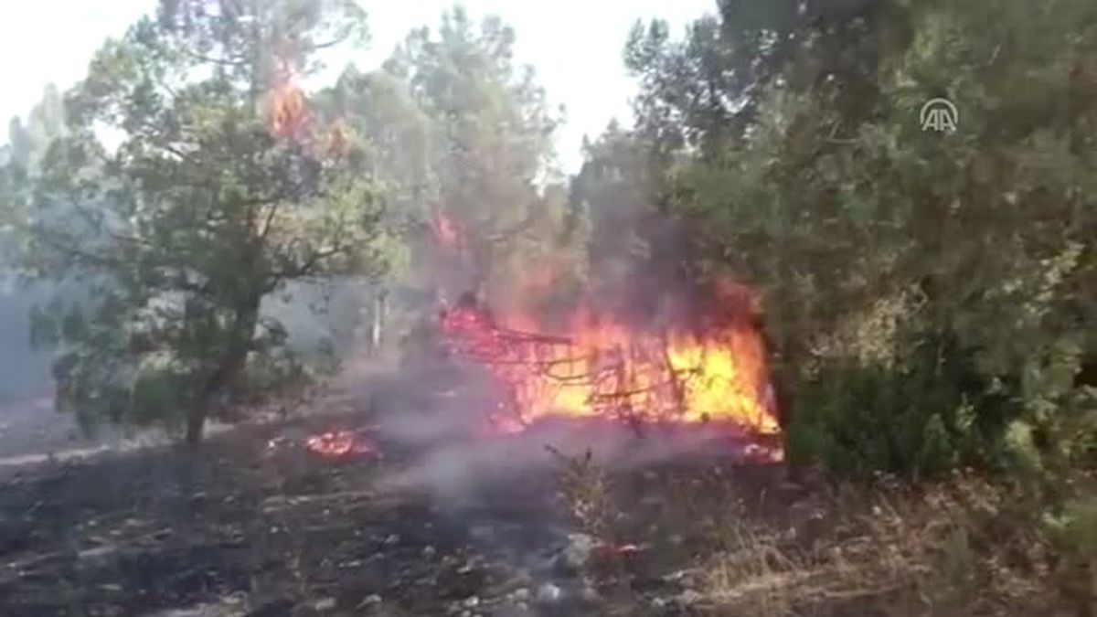 Ev Yangını Ormana Sıçradı (2)