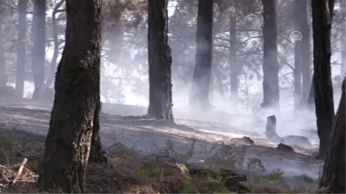 Geyve\'de Orman Yangını (2)