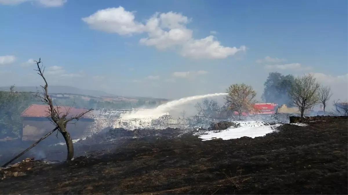 Lodos Yangın Çıkardı