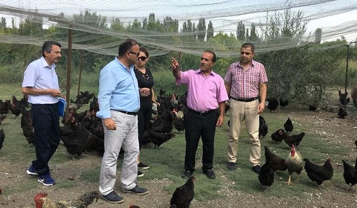 Müdür Yolcu, Genç Çiftçi İşletmelerini İnceledi