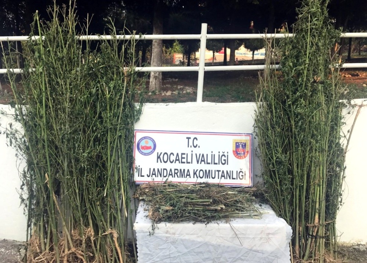 Ormana Hint Keneviri Eken 2 Kişi Gözaltına Alındı