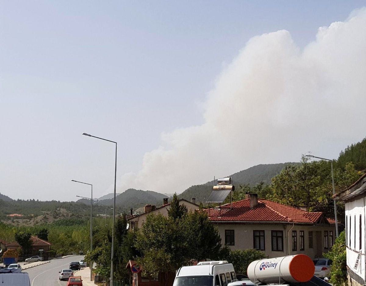 Sakarya\'da Başlayan Orman Yangını Hızla Büyüyor