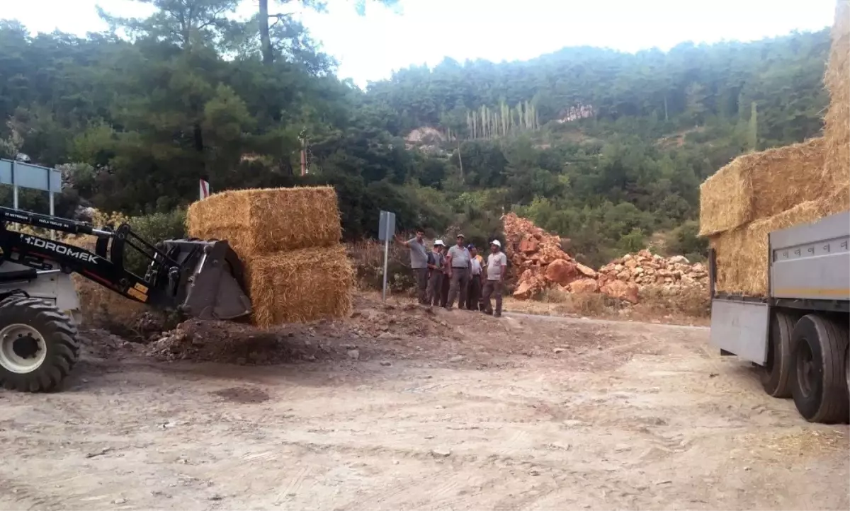 Tarım İl Müdürlüğünden Zeytin Mahallesine 13 Ton Saman