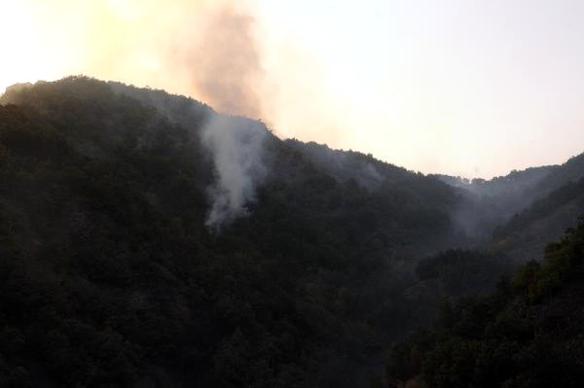 Tokat\'ta Orman Yangını