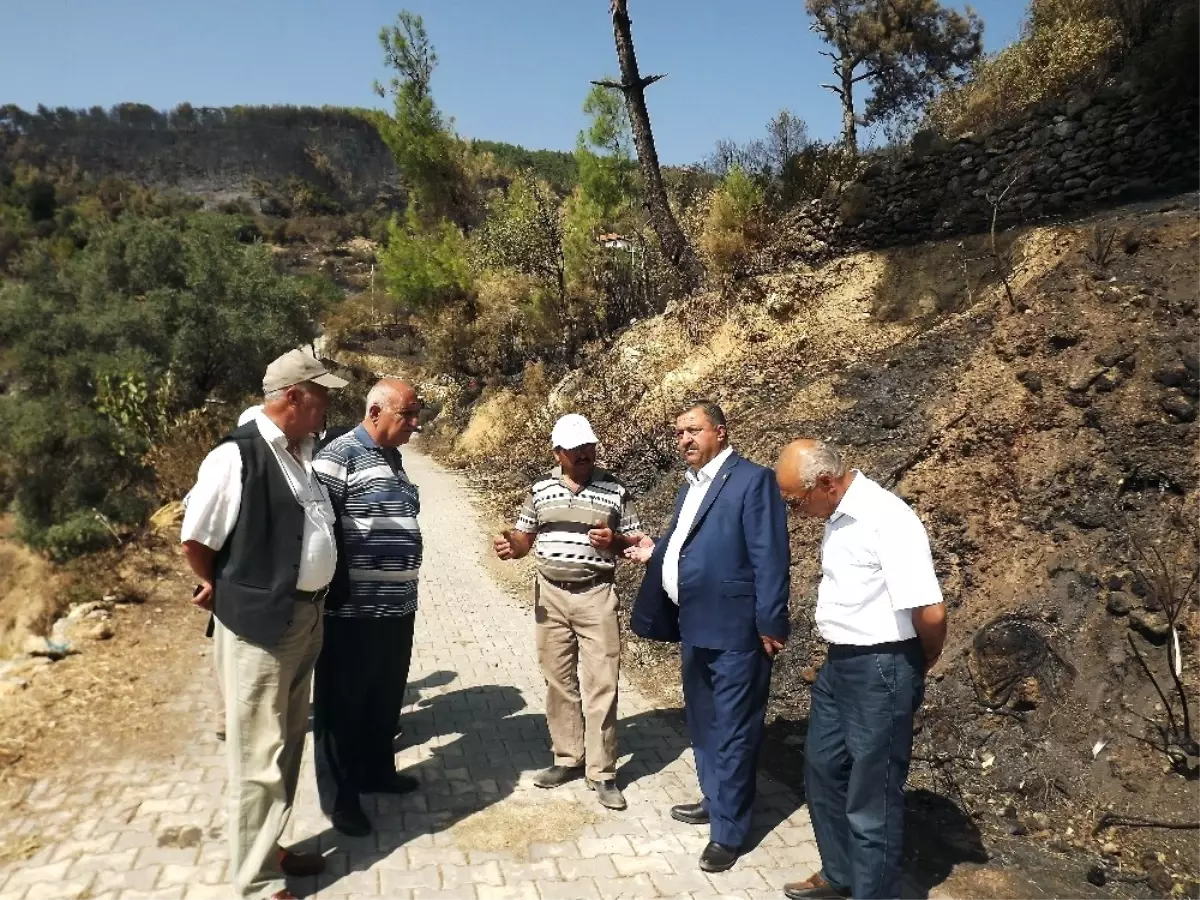 Yangından Zarar Gören Çiftçilerin Aidatları Ziraat Odasından